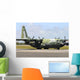 Brazilian Air Force C-130 Wall Decal