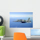 Brazilian Air Force F-5em Wall Decal