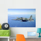 Brazilian Air Force F-5em Wall Decal