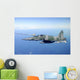 Brazilian Air Force F-5em Wall Decal