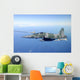 Brazilian Air Force F-5em Wall Decal