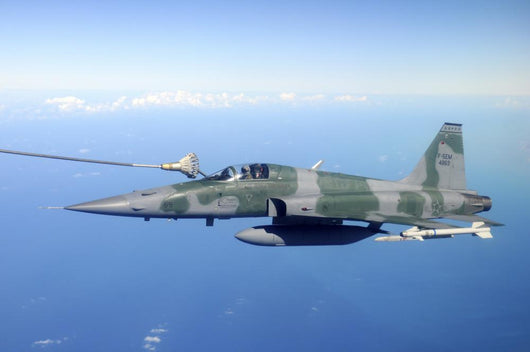 Brazilian Air Force F-5em Wall Decal