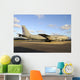 Chilean Air Force Boeing Wall Decal