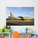 Chilean Air Force Boeing Wall Decal
