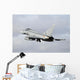 Spanish Air Force Eurofighter Wall Decal