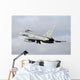 Spanish Air Force Eurofighter Wall Decal