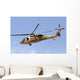 Israeli Air Force Uh-60 Bottom Right Side Wall Decal