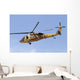 Israeli Air Force Uh-60 Bottom Right Side Wall Decal