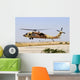 Israeli Air Force Uh-60 Taking Off Wall Decal