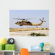 Israeli Air Force Uh-60 Taking Off Wall Decal