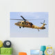 Israeli Air Force Uh-60 In-Flight Wall Decal