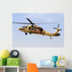 Israeli Air Force Uh-60 In-Flight Wall Decal