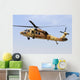 Israeli Air Force Uh-60 In-Flight Wall Decal