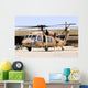 Israeli Air Force Uh-60 Wall Decal