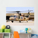 Israeli Air Force Uh-60 Wall Decal