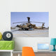 Israeli Air Force Ah-64a Wall Decal