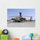 Israeli Air Force Ah-64a Wall Decal