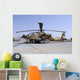 Israeli Air Force Ah-64a Wall Decal