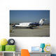 Piaggio P180 Avanti Rome-ciampino Wall Decal