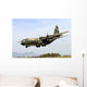 C-130 Hercules from Hellenic Wall Decal