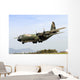 C-130 Hercules from Hellenic Wall Decal
