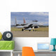 F-15d Baz from Israeli Wall Decal