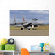 F-15d Baz from Israeli Wall Decal