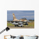 F-16b Netz from Israeli Wall Decal