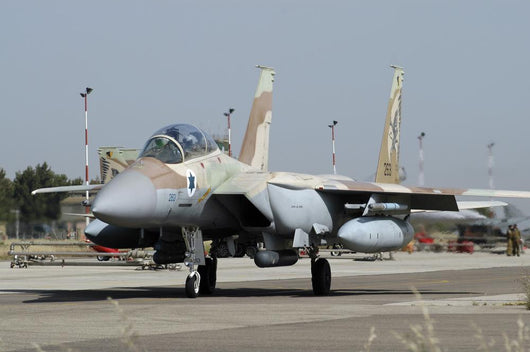F-15i Ra'am from Israeli Grounded Wall Decal