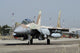 F-15i Ra'am from Israeli Grounded Wall Decal