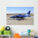 M-346 Master First Prototype Grounded Wall Decal