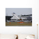 Eurofighter Ef2000 Typhoon Back Wall Decal