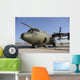 C-130 Hercules from Austrian Wall Decal