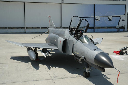 F-4e 2020 Phantom Terminator Wall Decal