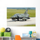 Mirage 2000d French Air Wall Decal
