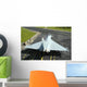 Eurofighter Ef2000 Typhoon Top Wall Decal