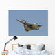 Mirage 2000b French Air Wall Decal