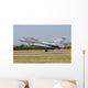Mirage 2000c French Air Wall Decal