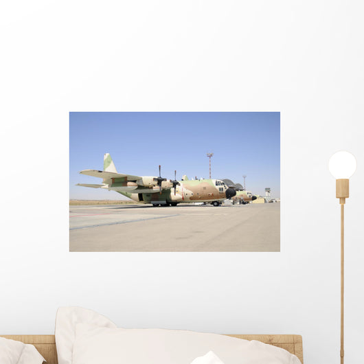 Israeli Air Force C-130 Grounded Wall Decal