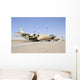 Israeli Air Force C-130 Grounded Wall Decal