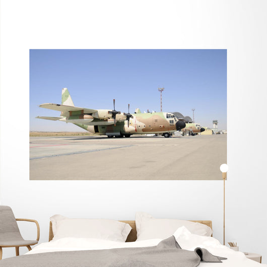 Israeli Air Force C-130 Grounded Wall Decal