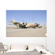 Israeli Air Force C-130 Grounded Wall Decal