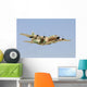 Israeli Air Force C-130h Wall Decal