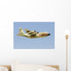 Israeli Air Force Kc-130h Wall Decal