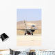 Israeli Air Force F-16a Vertical Wall Decal