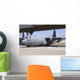 Israeli Air Force C-130j Wall Decal