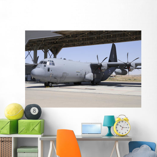 Israeli Air Force C-130j Wall Decal