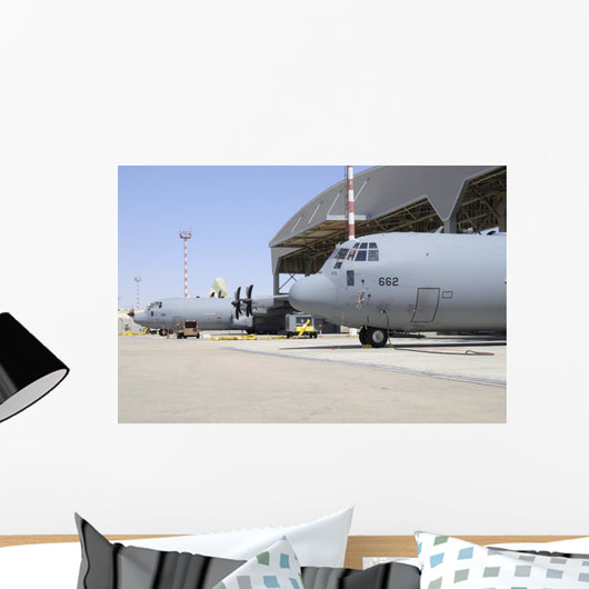 Two Israeli Air Force Wall Decal