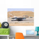 Israeli Air Force F-16b Grounded Wall Decal