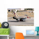 Israeli Air Force F-16b Wall Decal